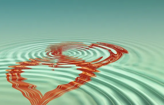 Casino Black Label Suporte